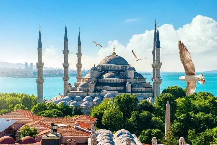 tur.Ad